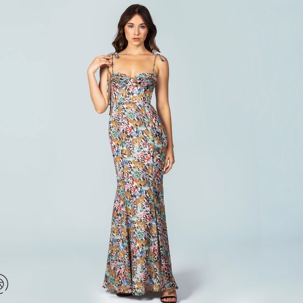 Fame and Partners Corset dress